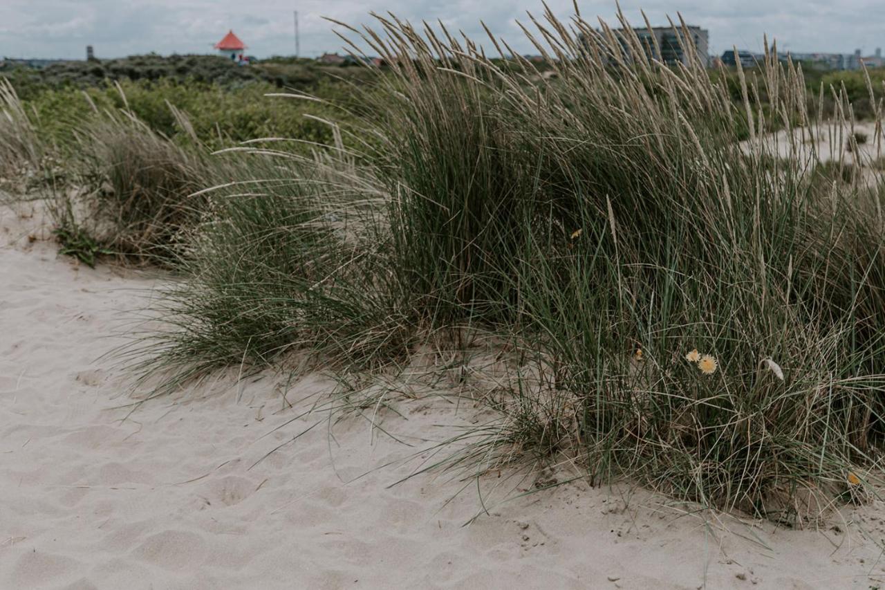 Beau séjour Bredene Exterior foto